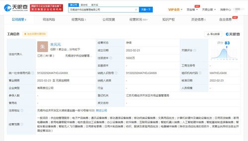 通信设备销售 连接未来，价值传递的艺术与实践